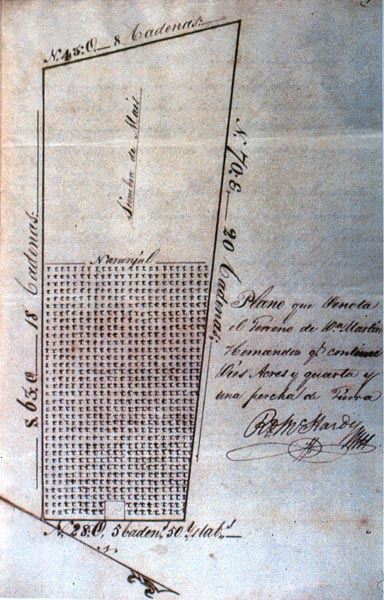 Martin Hernandez Orange Grove