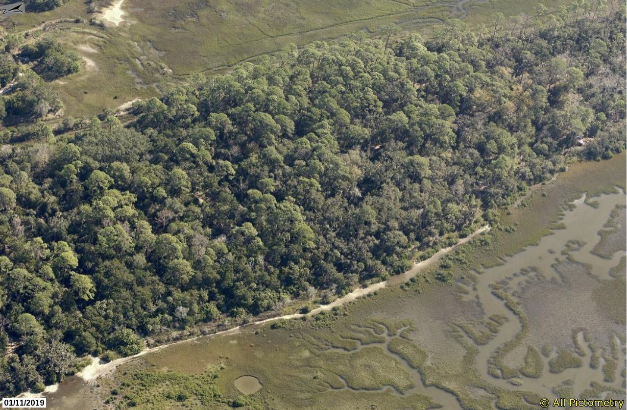 Oblique view of Fish Island Preserve