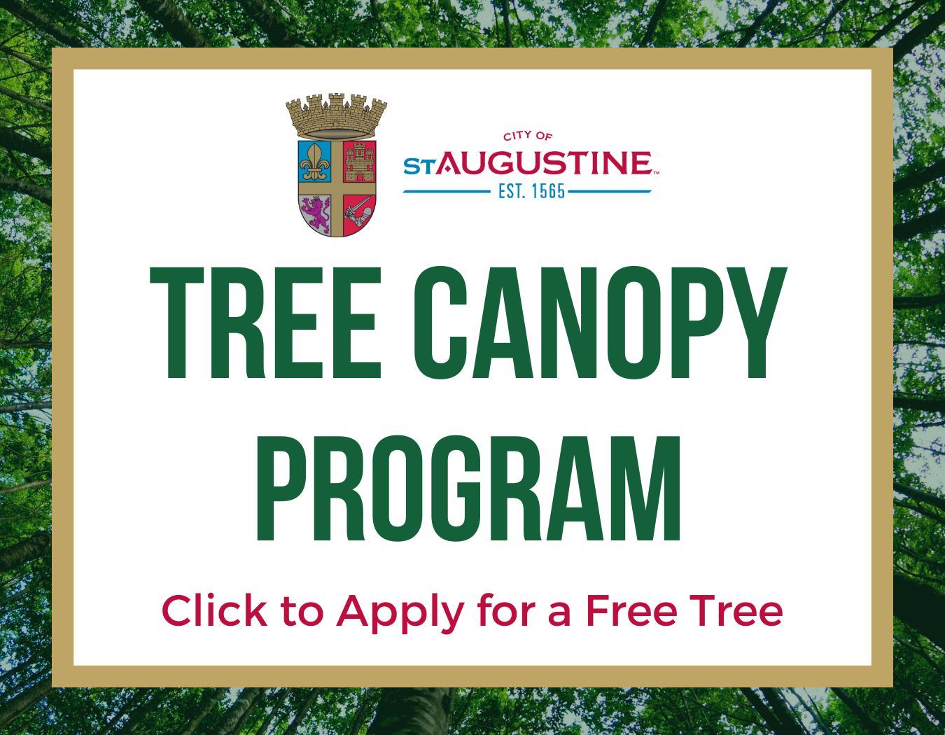 Click to apply for tree