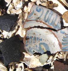 17th Century Artifacts - Freshly Washed in the Field