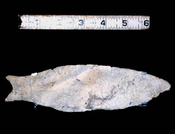 Simpson Spear Point, Circa 10,000 Years Before Present, Found in Ancient Marsh Deposits